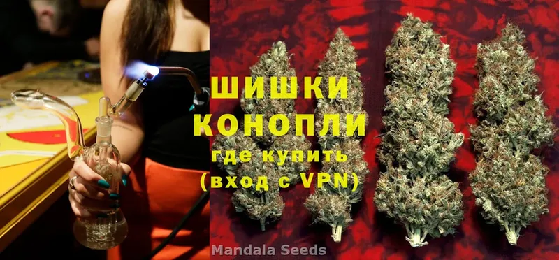 Бошки марихуана White Widow  blacksprut зеркало  Губкин 